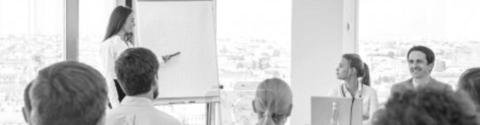 Eine Frau steht an einem Flipchart und hält vor einem Publikum eine Rede. 